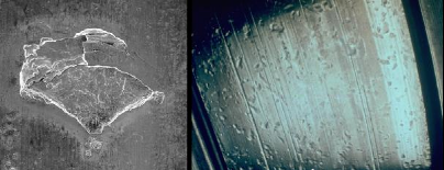 图片关键词 图片关键词